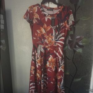 NWT Pretty Dress